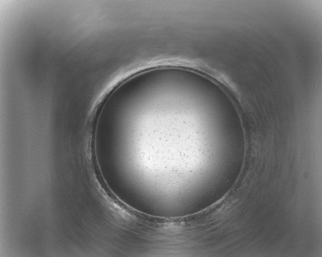 X0000066971504200603311435