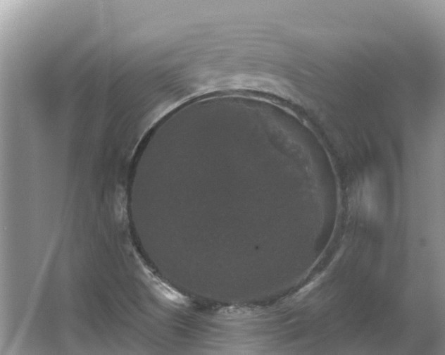 X0000066971505200603311435