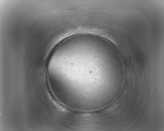 X0000066971507200603311436