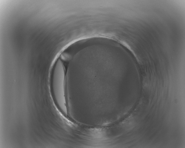 X0000066971508200603311436