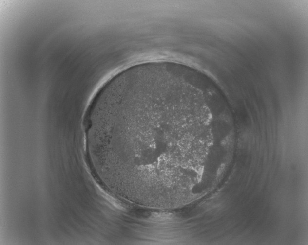 X0000066971509200603311436