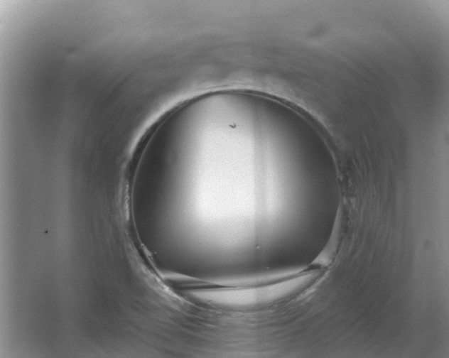 X0000066971510200603311436