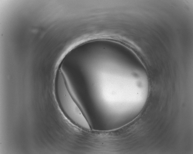 X0000066971512200603311436