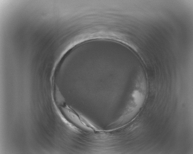 X0000066971515200603311436