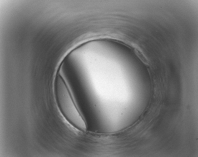 X0000066971516200603311436