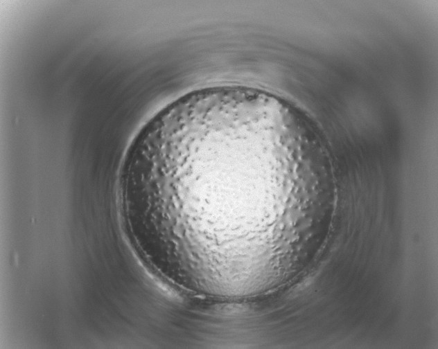 X0000066971517200603311436