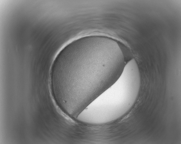 X0000066971518200603311436