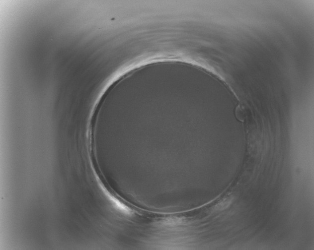 X0000066971519200603311436