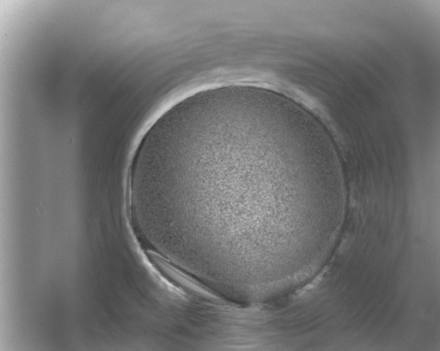 X0000066971520200603311436