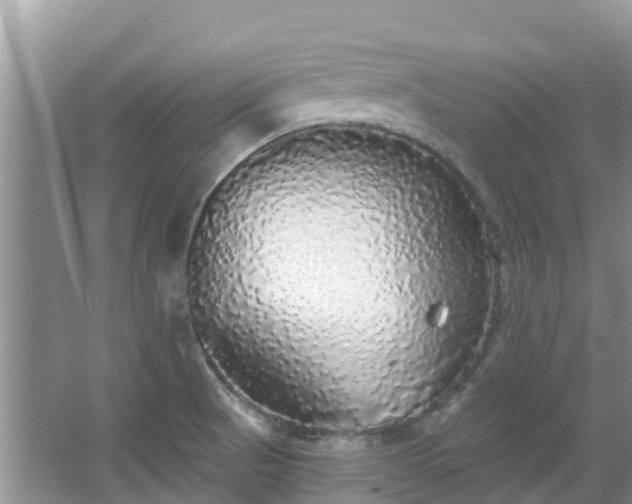 X0000066971521200603311436