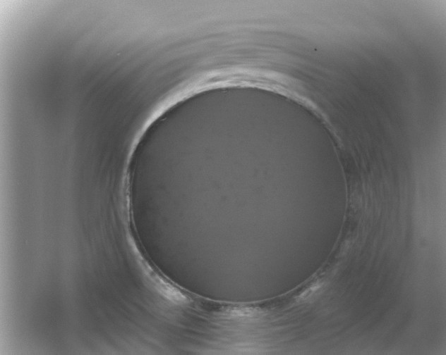 X0000066971522200603311436