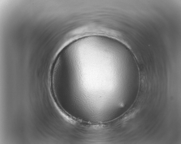 X0000066971523200603311436