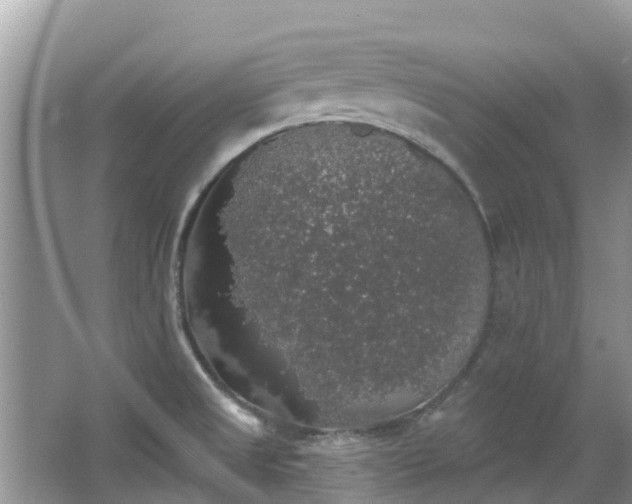 X0000066971525200603311436