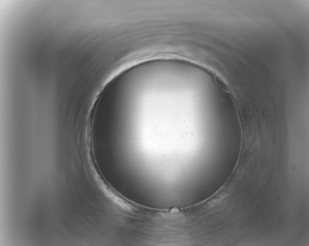 X0000066971526200603311436