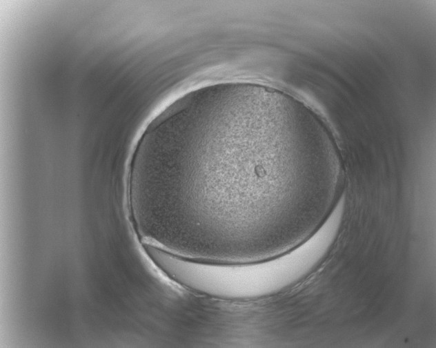 X0000066971528200603311436