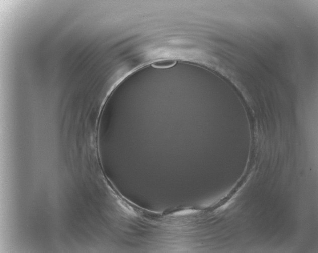 X0000066971529200603311436