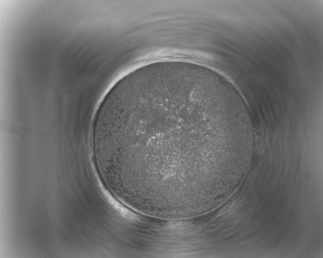 X0000066971531200603311436