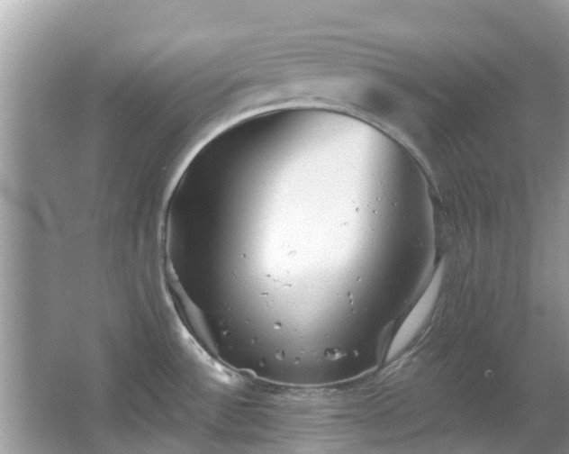 X0000066971532200603311436