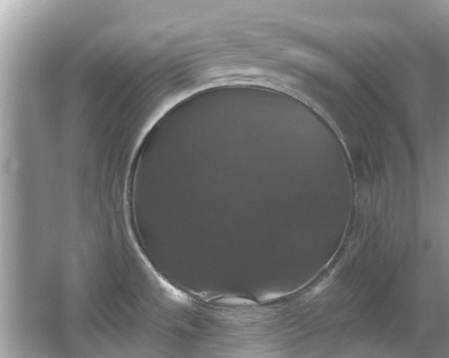 X0000066971533200603311436