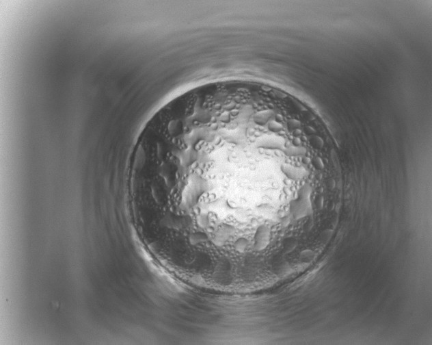 X0000066971534200603311436