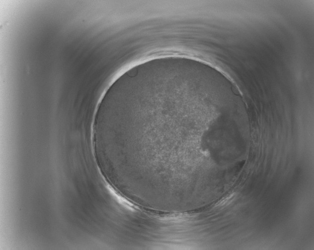 X0000066971535200603311436