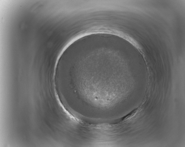 X0000066971536200603311436