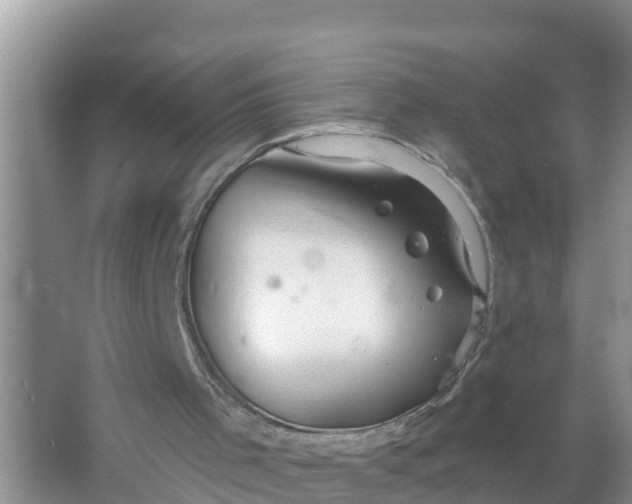 X0000066970001200604072042