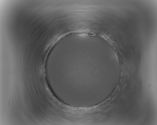 X0000066970002200604072042