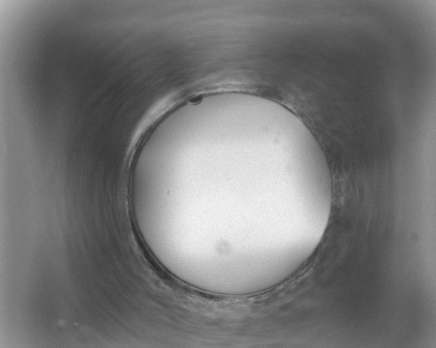 X0000066970004200604072042