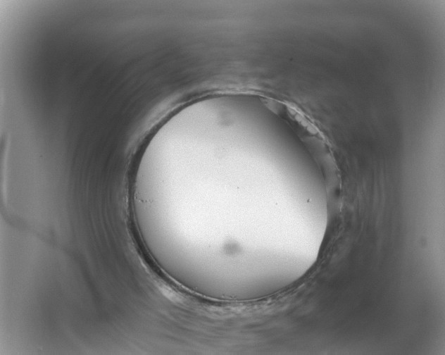 X0000066970005200604072042