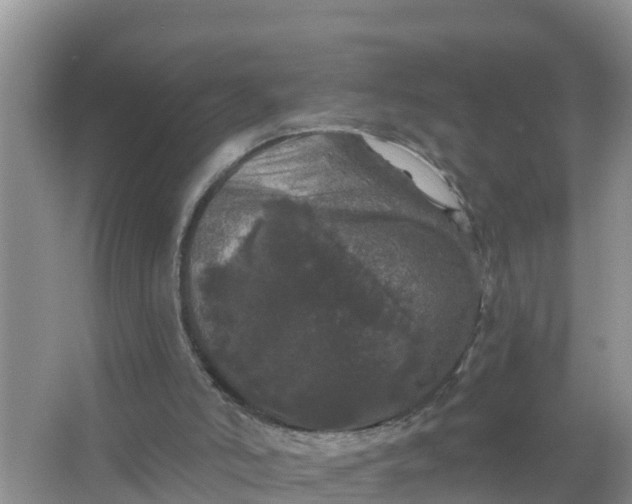 X0000066970006200604072042