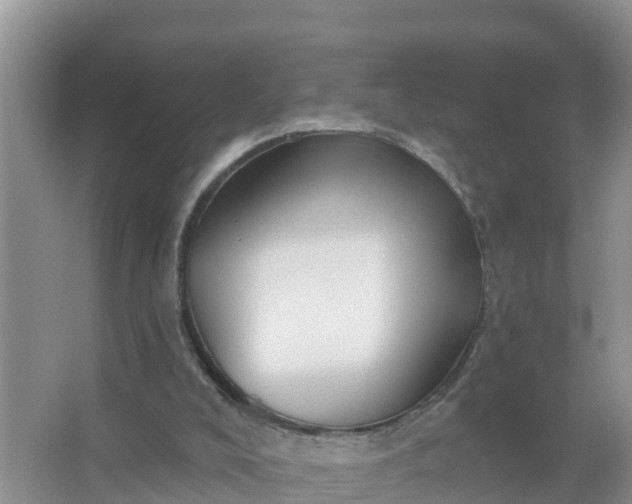 X0000066970008200604072042