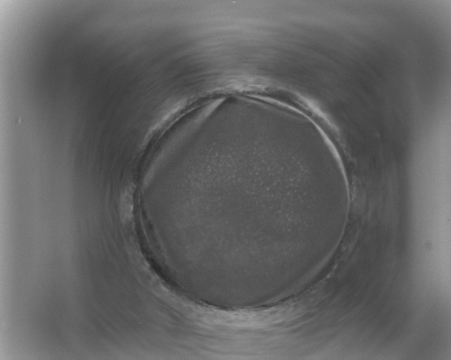 X0000066970010200604072042