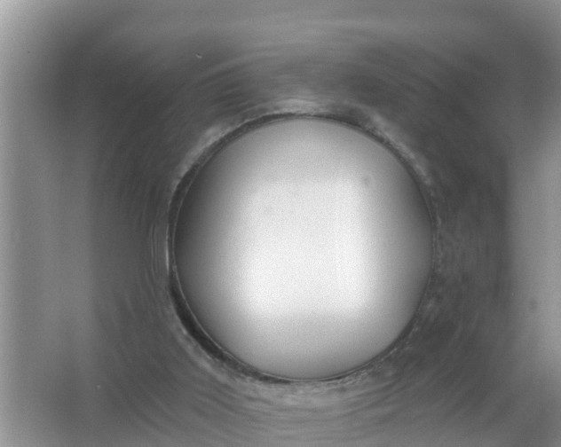 X0000066970011200604072042