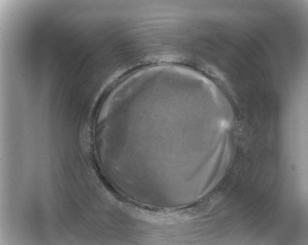 X0000066970012200604072042