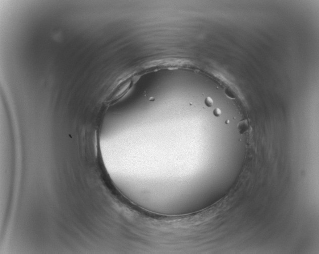 X0000066970013200604072042