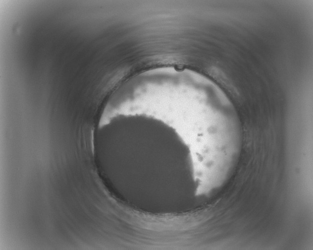 X0000066970014200604072042