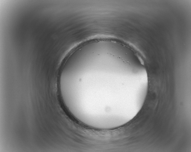 X0000066970015200604072042