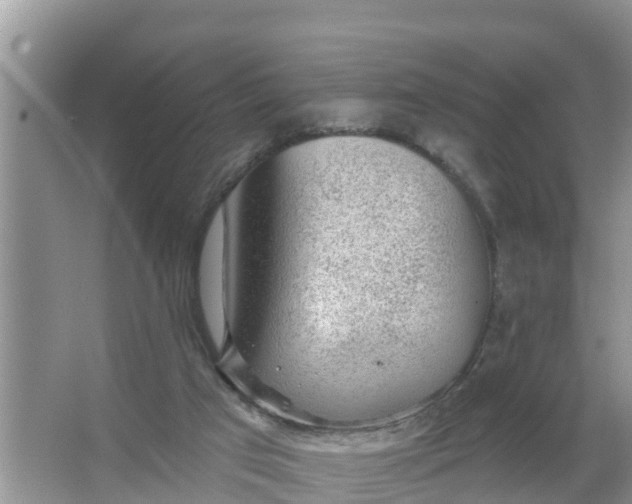 X0000066970017200604072042