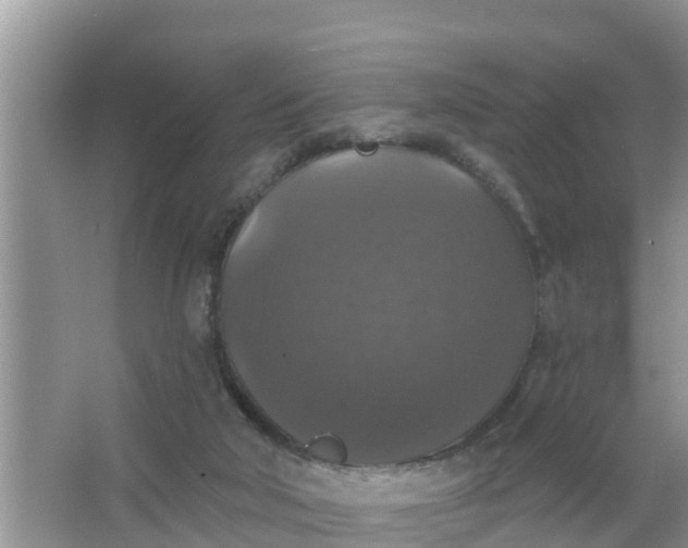 X0000066970018200604072042