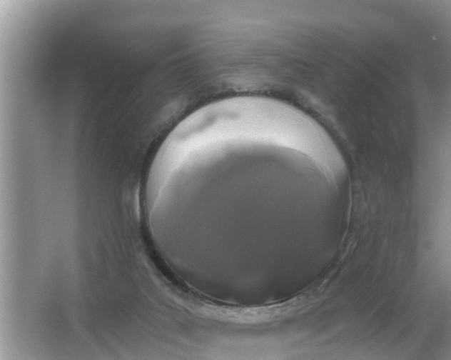 X0000066970019200604072042