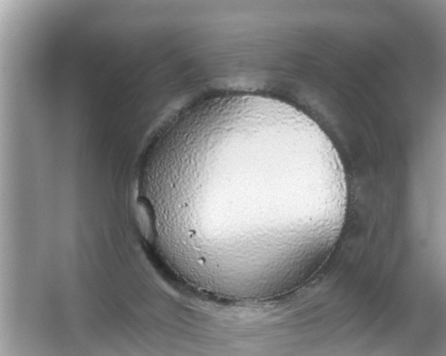 X0000066970020200604072042