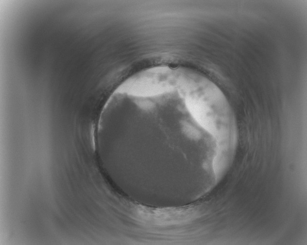 X0000066970022200604072042