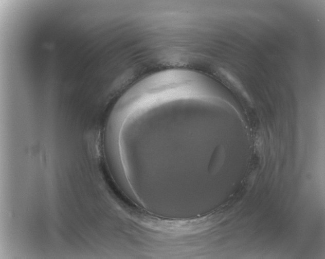 X0000066970023200604072042