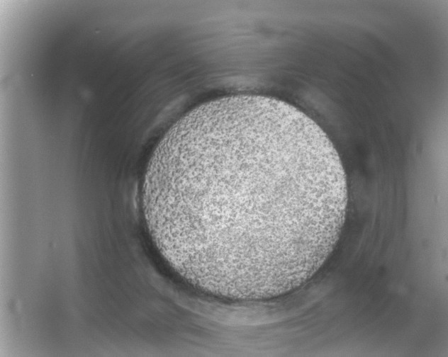 X0000066970024200604072042