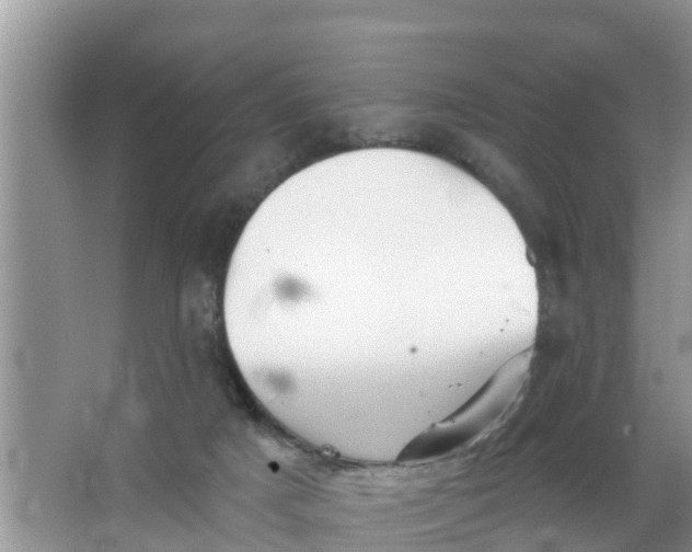 X0000066970025200604072042