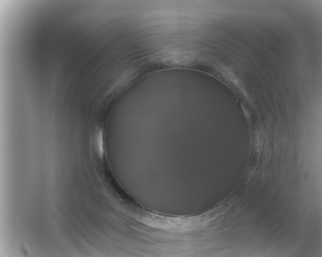 X0000066970027200604072042