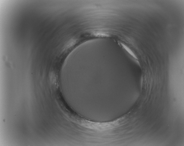 X0000066970031200604072042