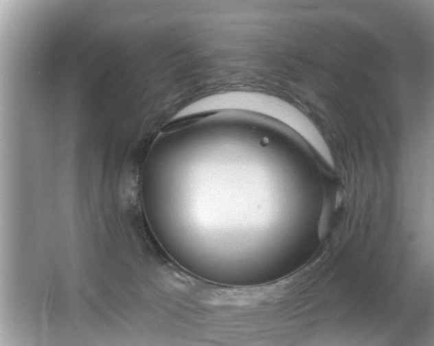 X0000066970033200604072042