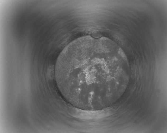 X0000066970034200604072042